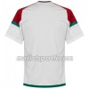 Maillot de Foot Maroc Exterieur Coupe du monde 2018